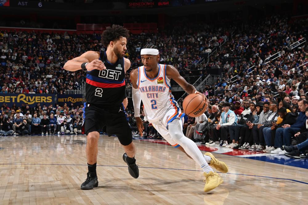 仅展示了浙 仅展示了浙